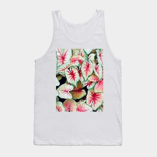 Caladium bicolor leaves Tank Top